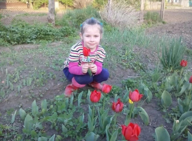 Тюльпаны и София в Пояркове