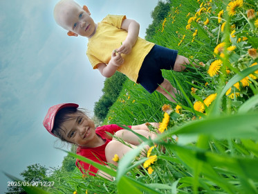 Одуванчик солнечный, с. Борисоглебка