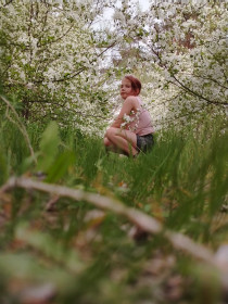 Цветущая аллея плодовых деревьев в Костюковке