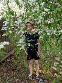 Белая черёмуха, Свободненский район