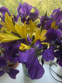 Ирис и лилейник, г. Благовещенск