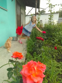 Любимый цветочек в розах