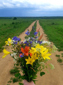 Полевые цветы, Ромненский район