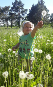 Одуванчики и внученька, с. Грибское
