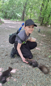 И лес, и животные встречают лето