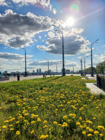 Одуванчики и облака, г. Благовещенск