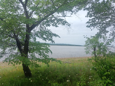 Наш Великий Амур, с. Калинино