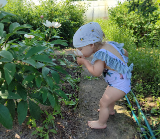 Пион уклоняющийся и Влада на даче в Бурейском округе