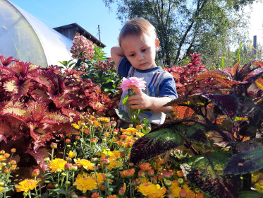 Аленький цветочек в Благовещенске