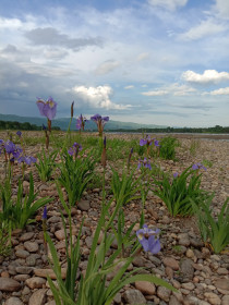 На берегу реки, г. Зея
