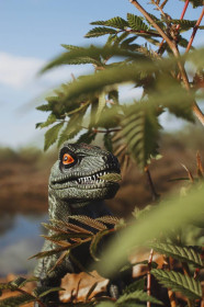 Весна на Михайловских столбах