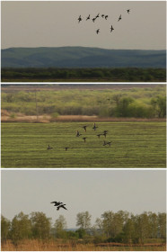 Природа просыпается. Михайловка