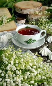 Июньский ландыш