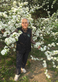 Цветущая весна