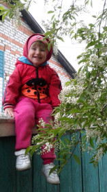 Ах, цветет черёмушка у нас в Пояркове