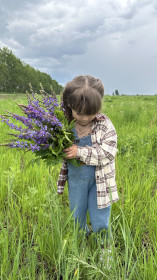 Козлятник лекарственный, с. Грибское
