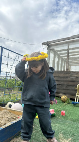 Солнечные цветы-одуванчики, с. Грибское