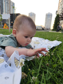 Цветущий клевер, г. Благовещенск