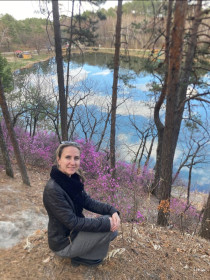 Багульник на сопках Моховой цветет