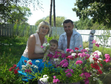 Флоксы Ромненского района