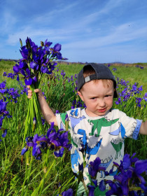 Мирошка и ирисы, Невер