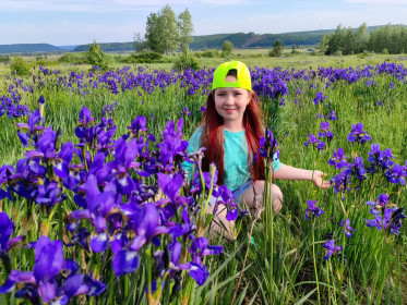 Ирисы в Невере