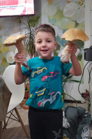 Белые ромненские богатыри