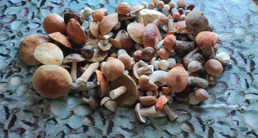 Урожай в п. Береговой