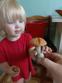 Подосиновики и Машенька, г. Зея