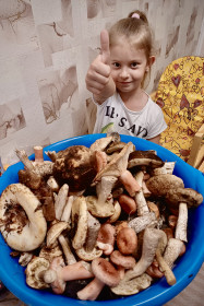 Сковородинские грибочки