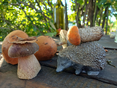 Запасливый ежик: подосиновики и белый, г. Белогорск