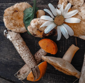 Натюрморт с грибами, г. Белогорск