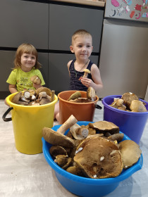 Грибы и грибники, г.  Благовещенск