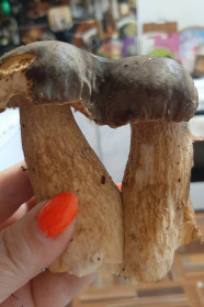 Поддубники с любовью к вам, с. Троицкое