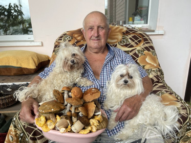 Таз разносолов из белых, подосиновиков, сыроежек и лисичек, Моховая Падь ❤