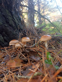 Семейство из Михайловского района