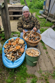 Грибной трофей, с. Ромны