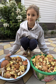 Маслята, г. Благовещенск