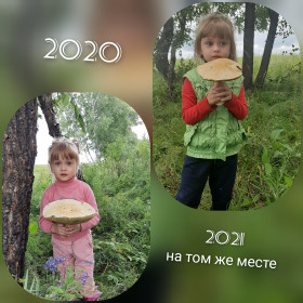 Белый гриб и Анюта, с. Томичи, Белогорский округ