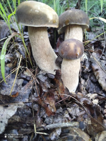 Семья❤️, г. Благовещенск