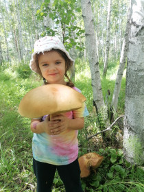 Гриб белый-гигант, с. Тыгда
