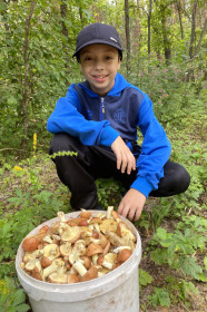 Ведро белых, г. Благовещенск