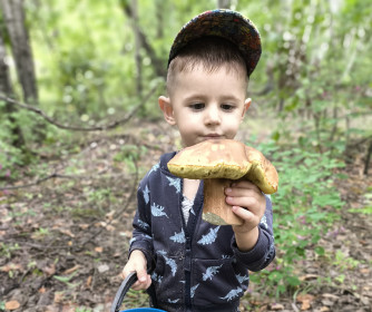 Боровик, или белый, г. Благовещенск