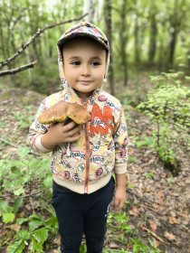 Шикарный белый гриб, г. Благовещенск