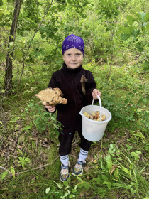 Гриб-переросток, Благовещенский округ