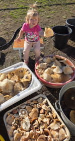 Грибная мафия с груздями, с. Козьмодемьяновка, Тамбовский округ