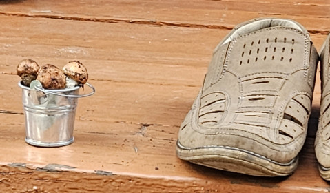 Красноголовики, г. Зея