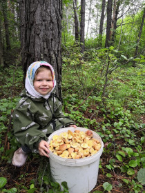 Маслята, п. Поляковский, Зейский округ