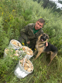 Немного груздей из Шимановска
