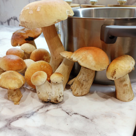 Грибная семейка, г. Благовещенск